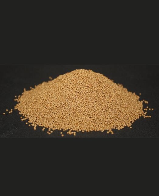 37ed69970dc34e21be9ad7a0c8cb6bf4