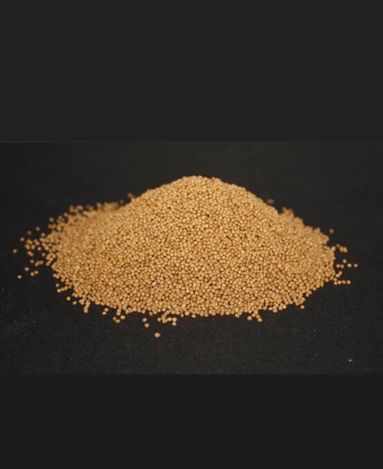 73c3841601e24b6e8fa782eda299c46f