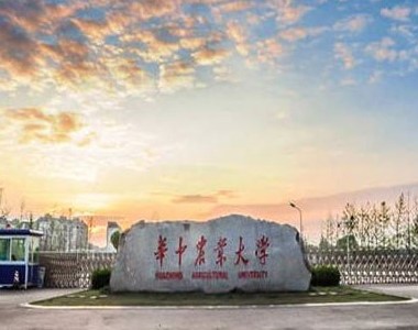 d30b55dea26d4fe68bdb0f2c19df922c