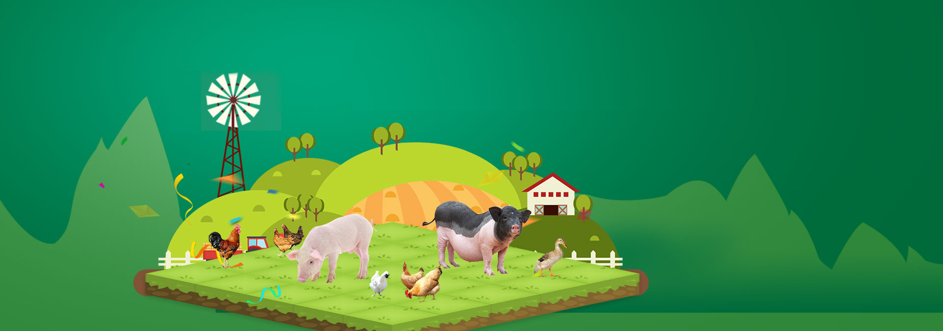 97国际官网养殖成本更低、更赢利，做高性价比饲料辅导者