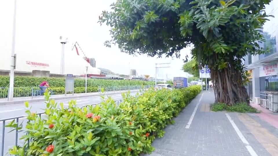 4e90609d922b4e7b919cedb74250091d