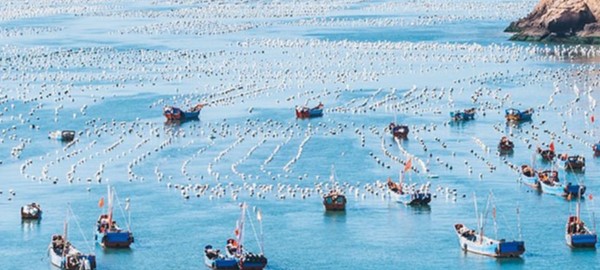 03dacd320d2a475b8406a4609bc41f0e