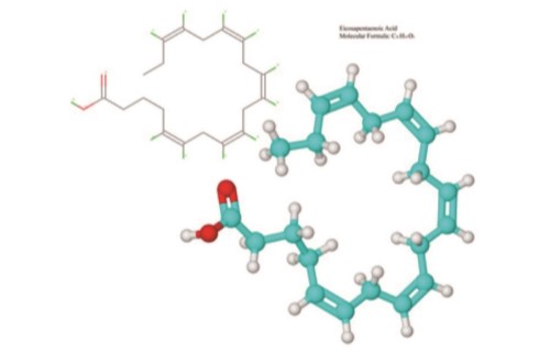 a5242fdf7c574c4eae73f1100da007bd