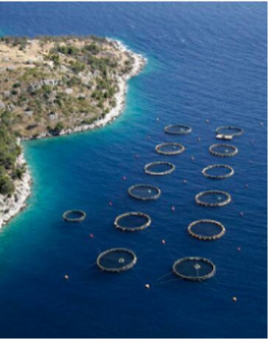 2615a8f2b3724a948ebffa4b52acaf01