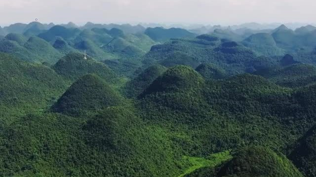 6986f13f38c94c54ad398b7b7c2f4103